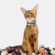 BloomPoet