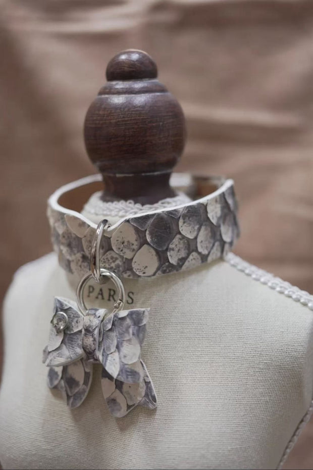 Himalayan Grace with Bow