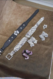 Himalayan Grace with Bow