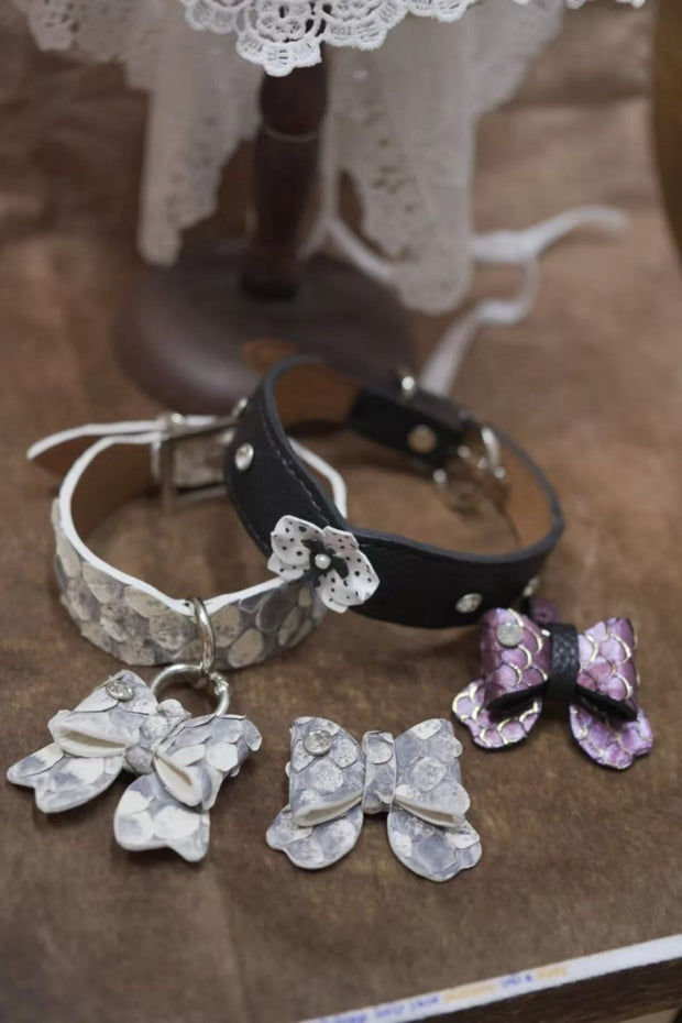 Himalayan Grace with Bow