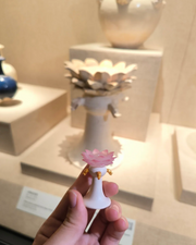 The Lotus Illumination