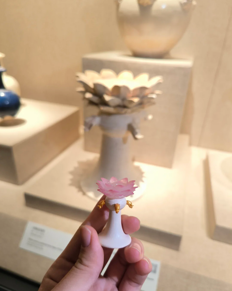 The Lotus Illumination