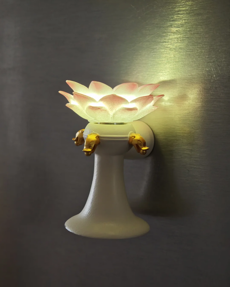 The Lotus Illumination