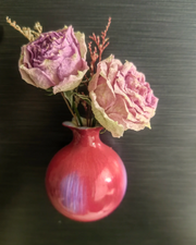 The Vessel of Fertility