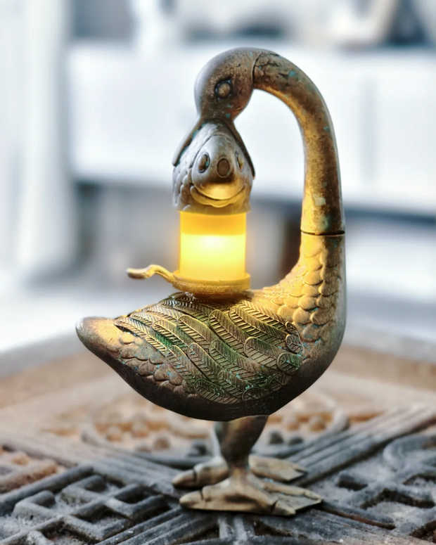 The Luminary's Insight