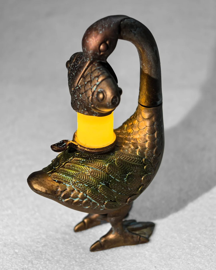 The Luminary's Insight