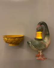 The Luminary's Insight