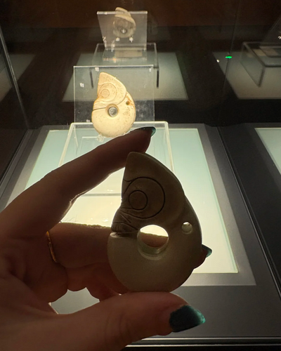 The Primordial Guardian