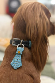 StellarPaw Collar