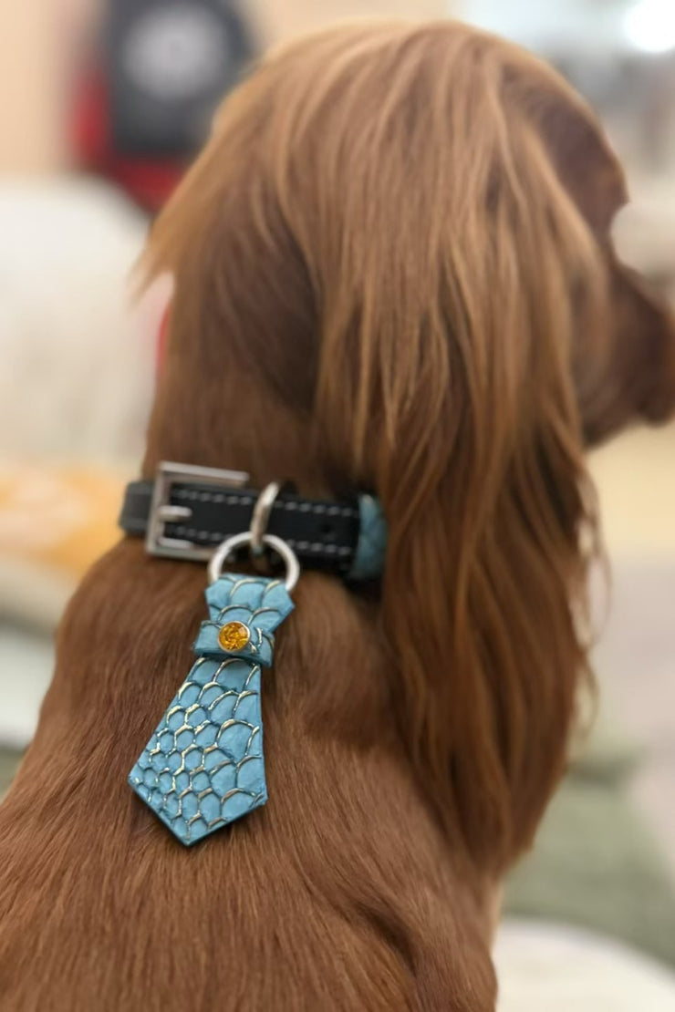 StellarPaw Collar