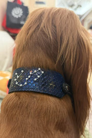 StellarPaw Collar