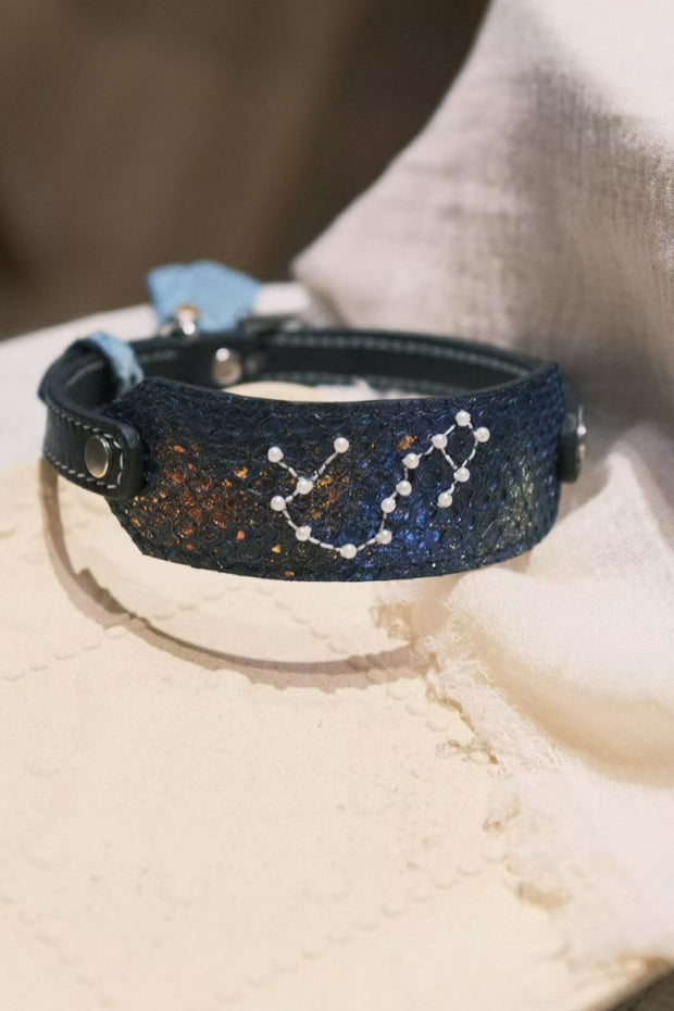 StellarPaw Collar