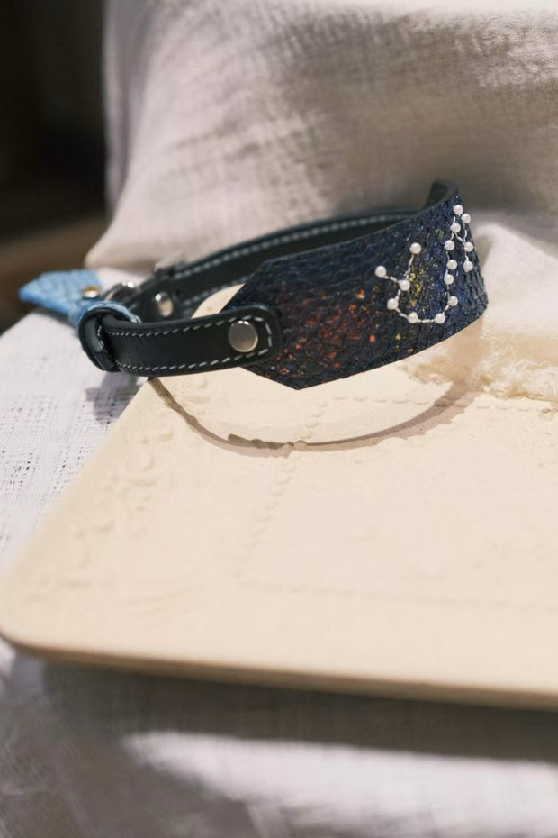 StellarPaw Collar