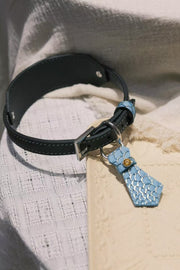 StellarPaw Collar