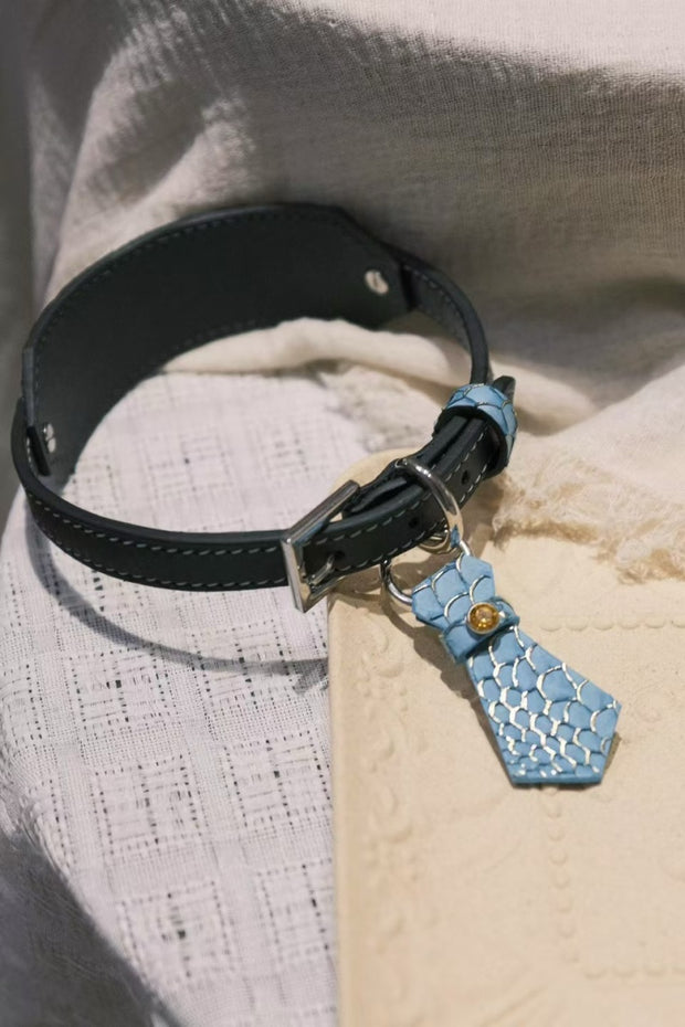 StellarPaw Collar