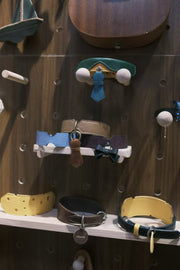 Sartorial Tie Collar