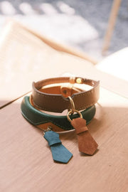 Sartorial Tie Collar