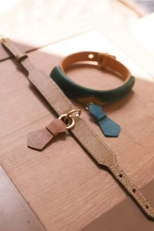 Sartorial Tie Collar