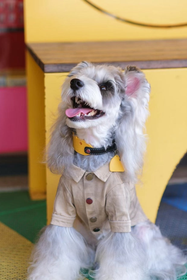 Cheesy Jerry Collar