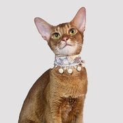 SylviaSplendor