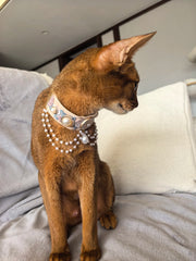 LotteCocoaLuxe