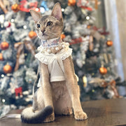 SylviaSplendor