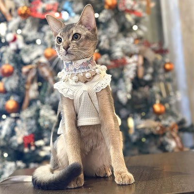 SylviaSplendor