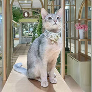 Vintage Floral Pet Necklaces