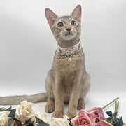 Camellia Grace