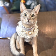 SylviaSplendor