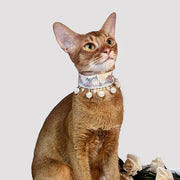 SylviaSplendor
