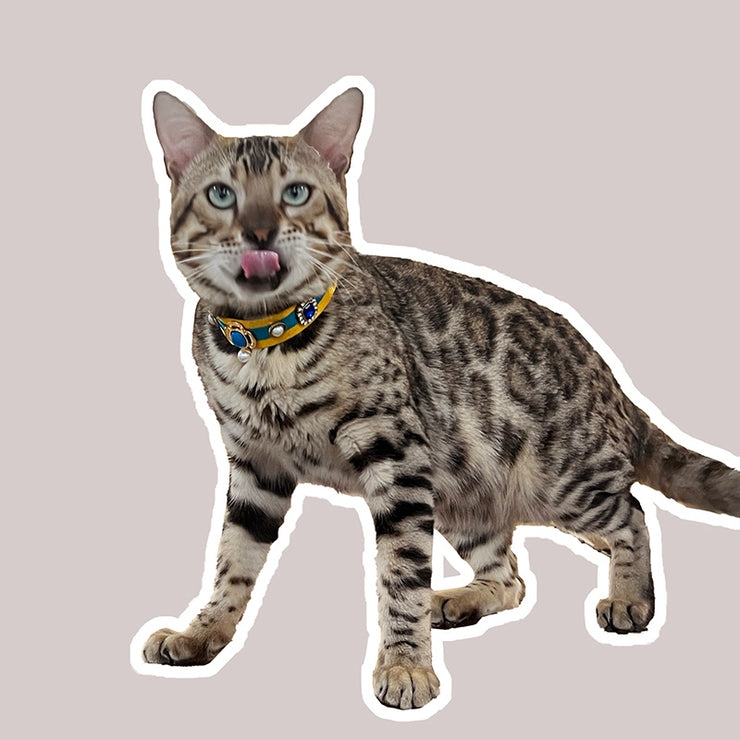 Senusret’s Aegis