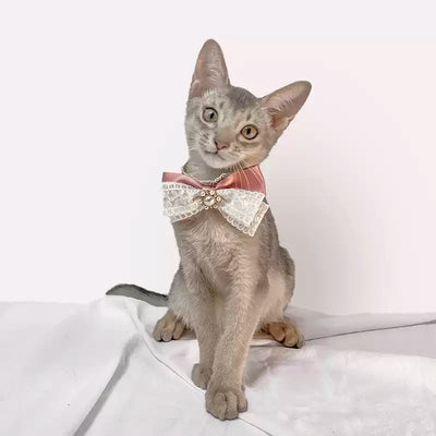 Ribbon Grace