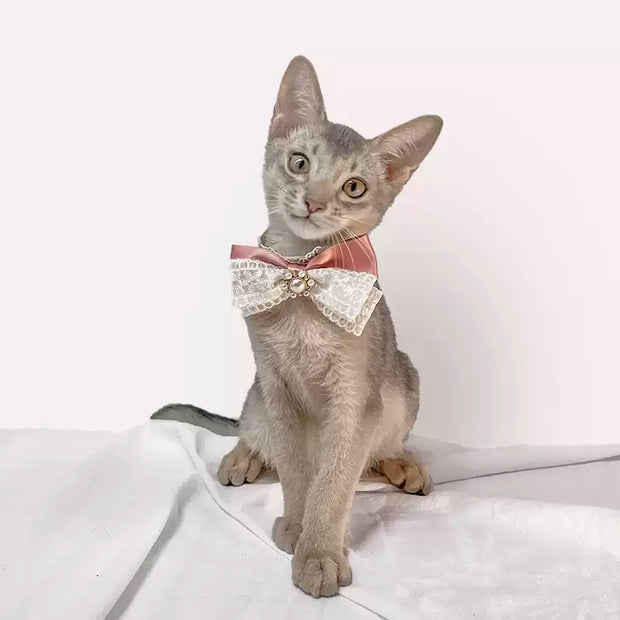Ribbon Grace